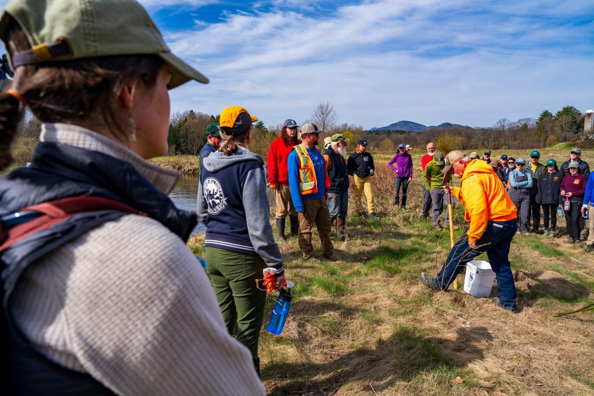 group of people watching a stream restoration demonstration